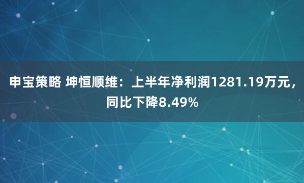 申宝策略 坤恒顺维：上半年净利润1281.19万元，同比下降8.49%